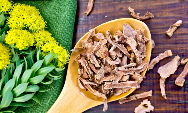 is-a-rhodiola-supplement-all-you-need-to-fight-off-stress?